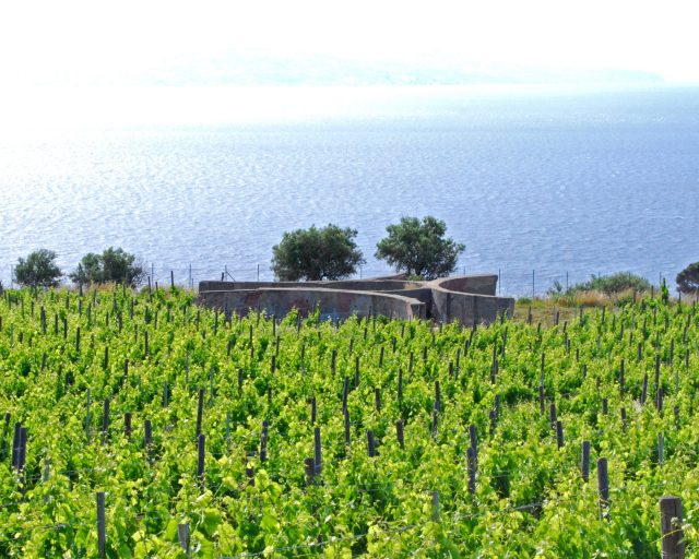 Muro d'ascolto della seconda guerra mondiale tra i vigneti dell'Istituto